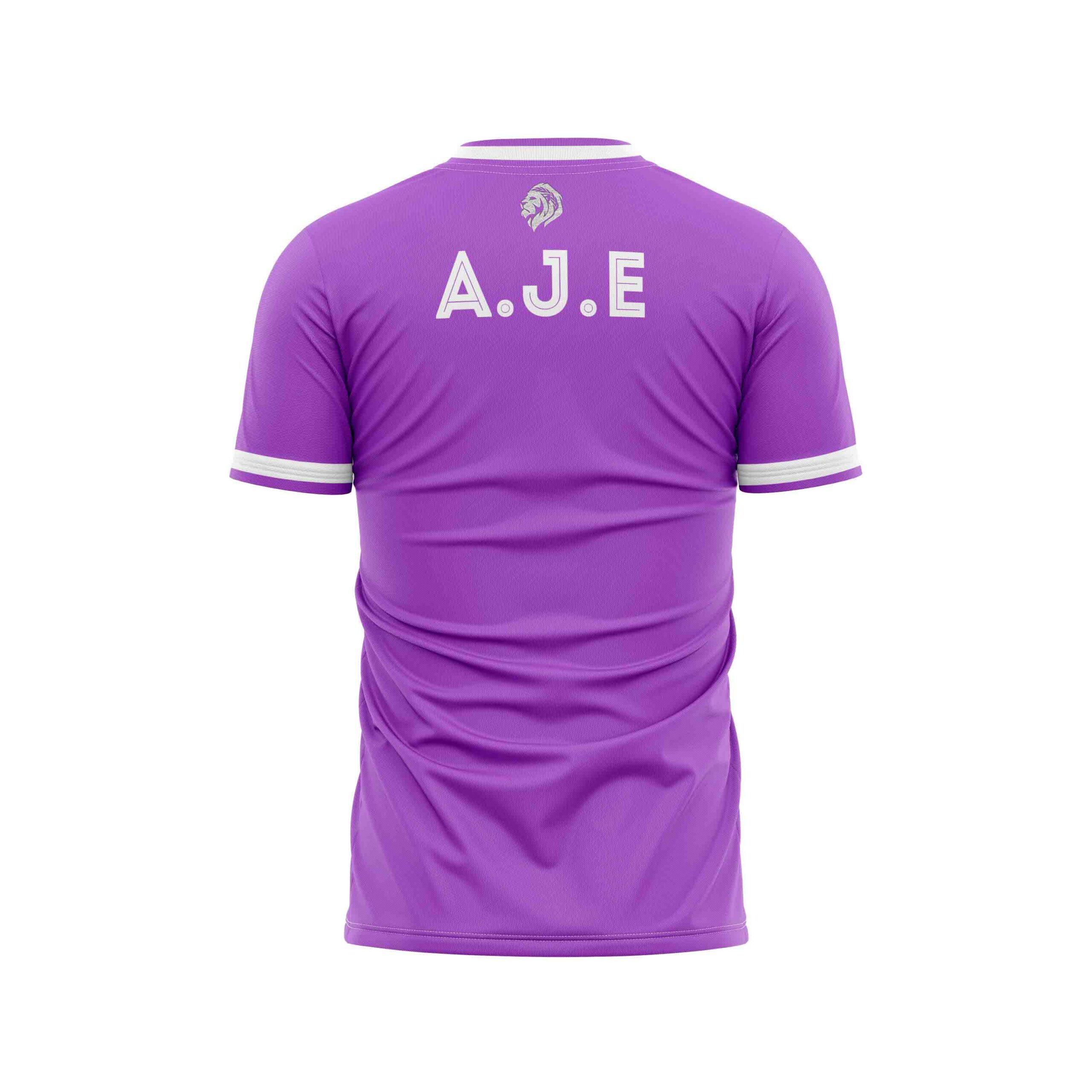 Maillot Classic Violet/Blanc AJ Etampoise Enfant
